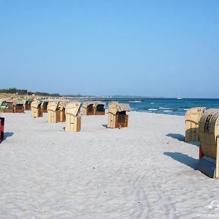 29 Stranddistel App. 56-409 * Burg auf Fehmarn
